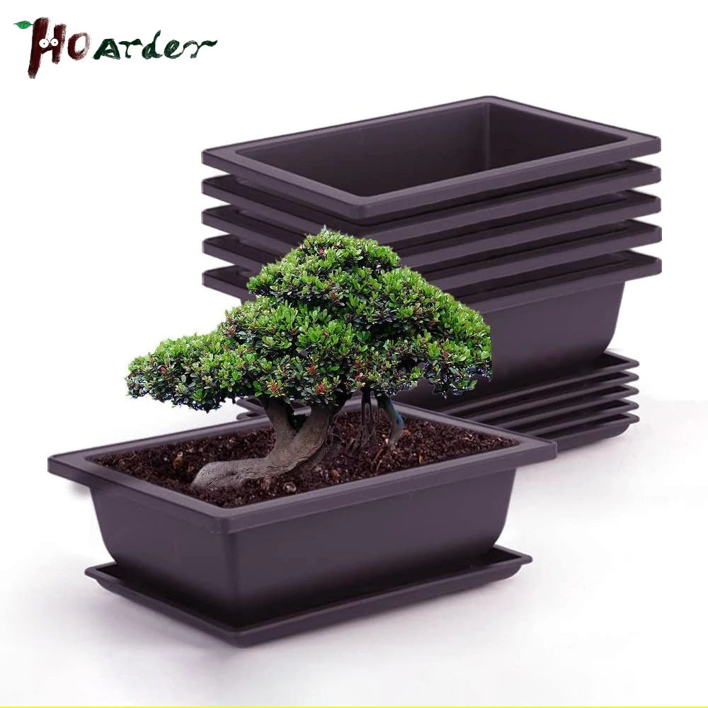 pot plante bonsaï noir plastique moderne plateau drainage grille fond carré jardin