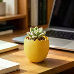 cache pot moderne jaune rose violet oeufs cassés plastique décoration intérieure ornement