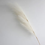 décoration mariage boho herbe pampas artificielle 100cm plumes séchées naturel rustique intérieur anniversaire