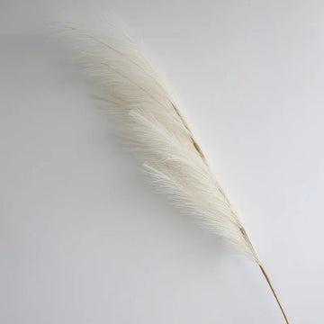 décoration mariage boho herbe pampas artificielle 100cm plumes séchées naturel rustique intérieur anniversaire