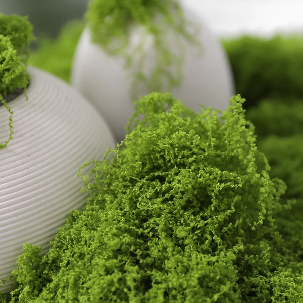 plantes artificielles mousse verte pot fleurs moderne minimaliste vert clair gris lignes verticales exposition