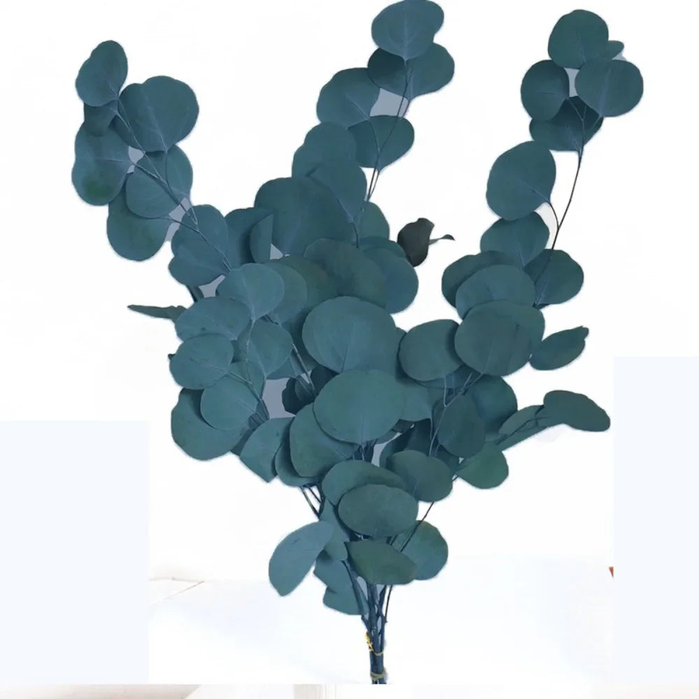 bouquet feuilles eucalyptus conservées 100g fleurs séchées naturelles verte violette ornement intérieur moderne minimaliste
