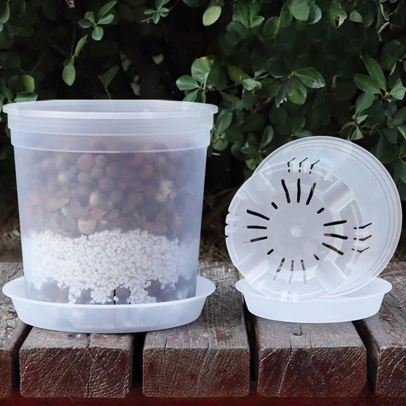 pots semis transparents blancs modernes grille drainage plantes