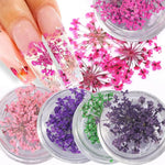 décorations nail art fleurs séchées violet rose vert rouge orange blanc naturel strass ongles