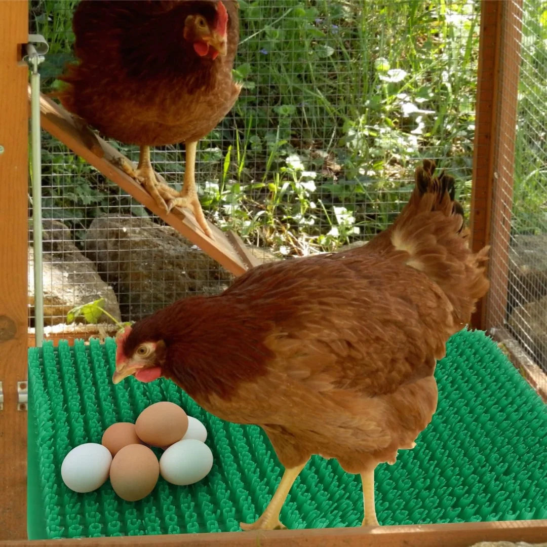 tapis nidification poules coussin oeufs mat plastique vert jaune gris noir