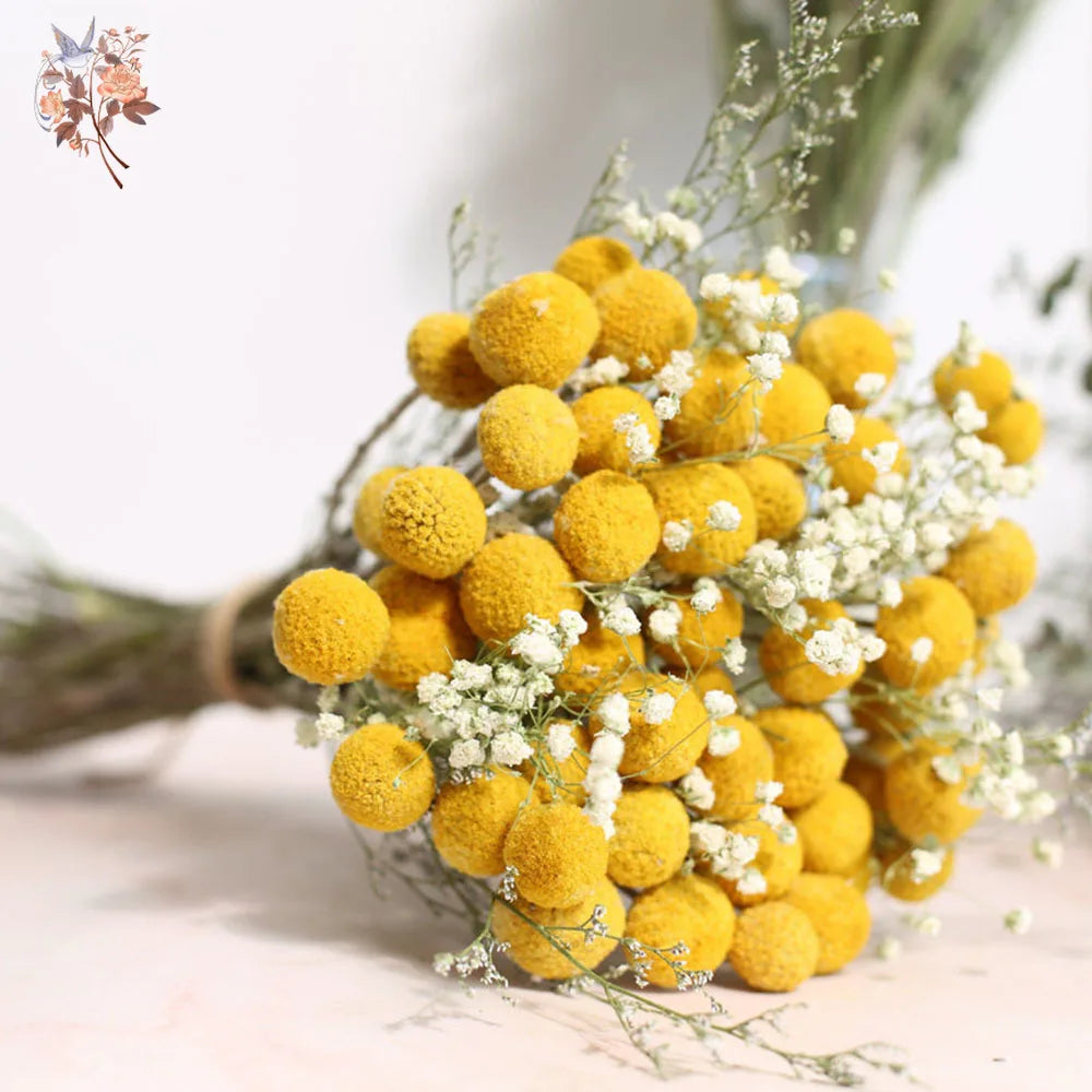 bouquet fleurs séchées boule dorée gypsophile eucalyptus feuilles naturel rustique décoration maison anniversaire wedding