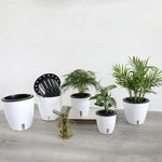 pots plantes modernes blanc noir drainage poignées 11cm 13cm 18cm