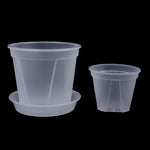 pot fleurs transparent moderne plateau dimension 10cm 12cm 14cm plastique