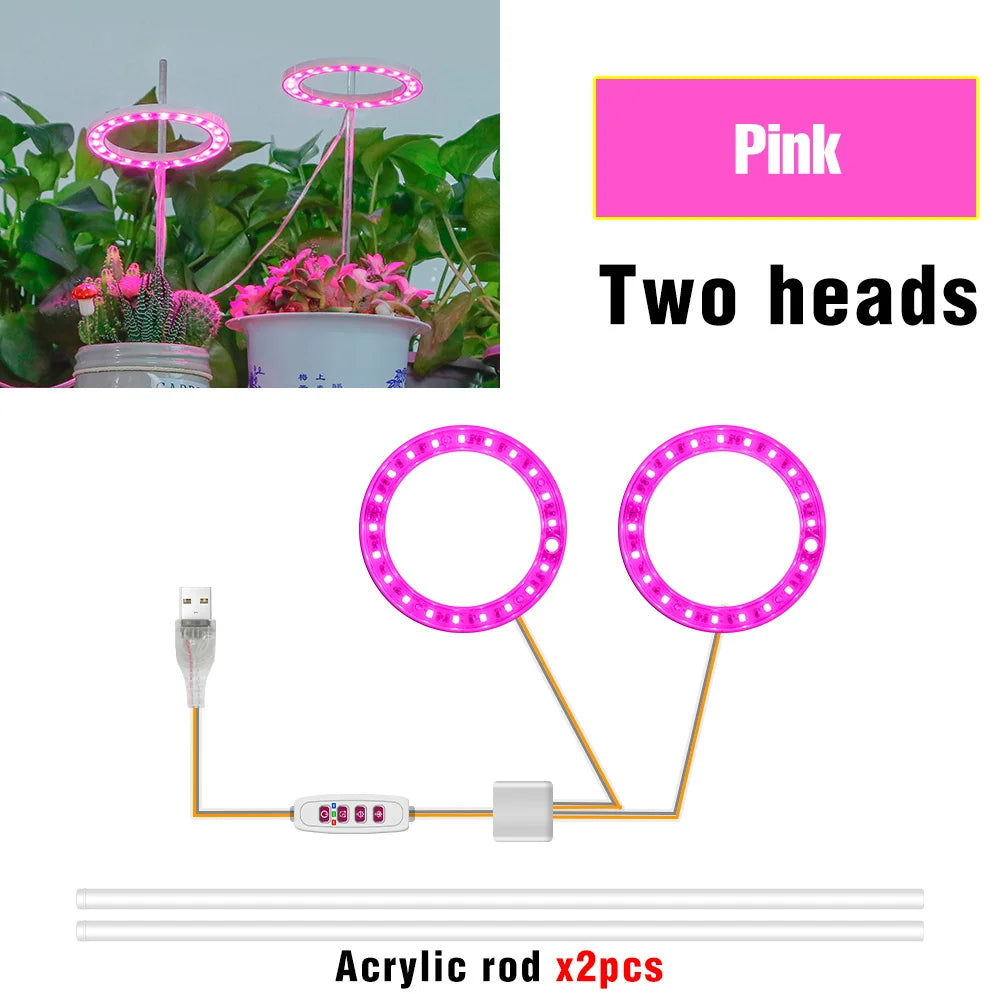 lumière croissance led usb 5v pink red blue sunlight controle remote moderne hydroponique