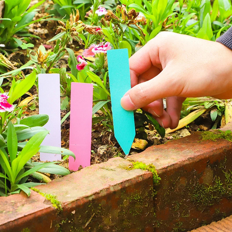 étiquettes jardinage adhésives blanc jaune vert rose bleu rouge classiques 1cm 5cmétaqs jardinétaqs horticolesétaqs