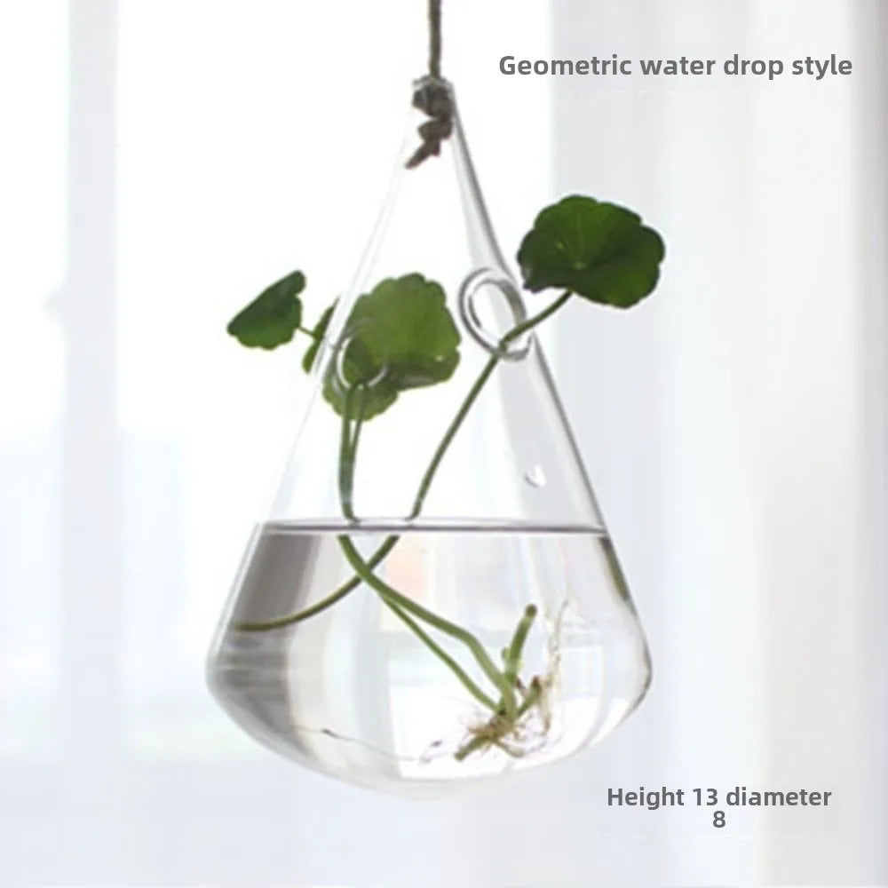 vase suspendu verre transparent moderne plante hydroponique décoration intérieure minimaliste fixations cordelette portable terrarium