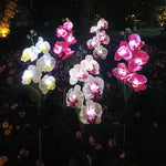 fleurs artificielles orchidées blanc rose bleu moderne décoratifextérieur tringle métallique socle noir