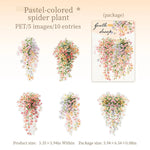 autocollants décoratifs floral transparents rose blanc bleu vert adhésifs fleurs feuilles
