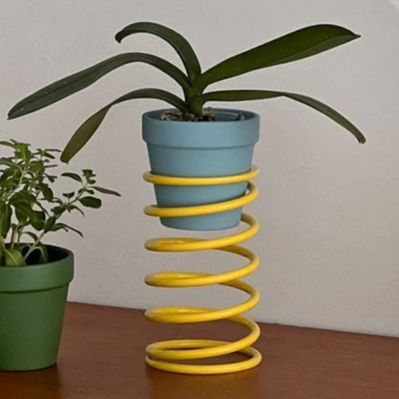 support plante moderne spirale adhésif pots plante vert bleu orange jaune
