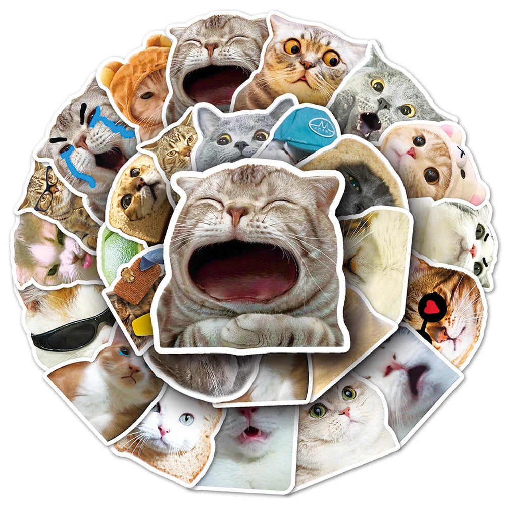 stickers adhésifs chats expressions faciles utiliser variés cartoongrats décoration jouets différents amusants