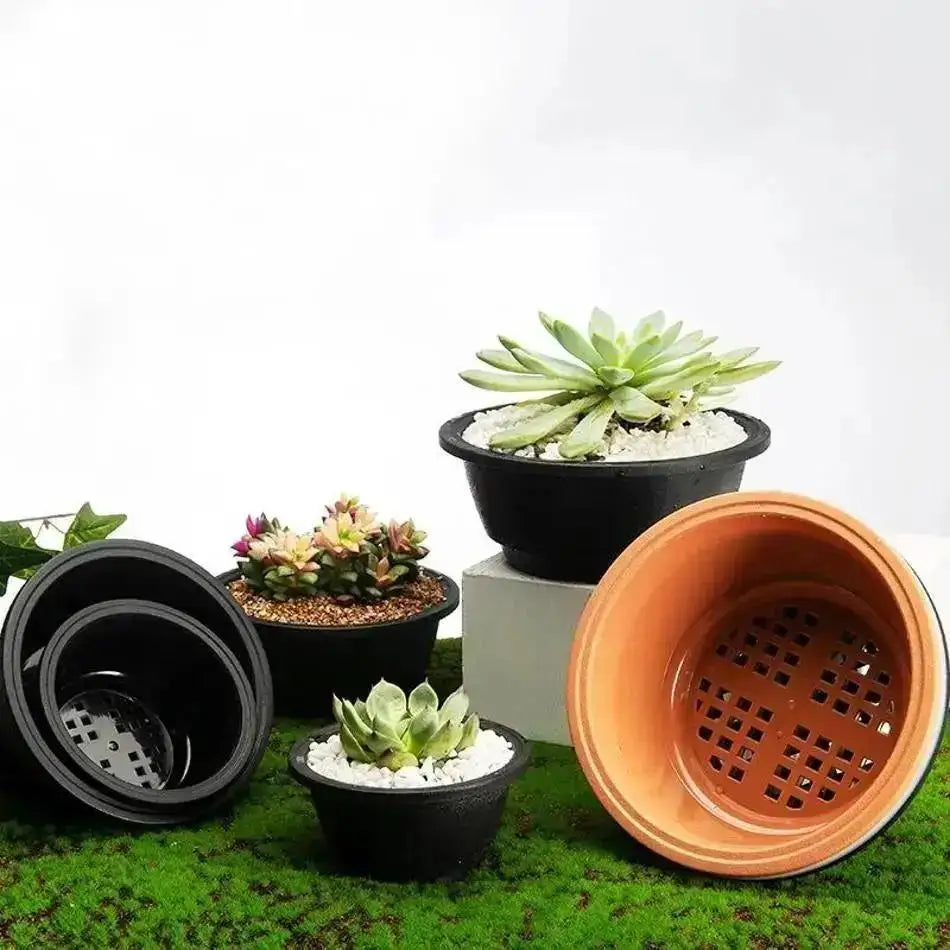 pots fleurs succulentes transparents pots jardin pots minimalistes pots plante pots plastique pots pots