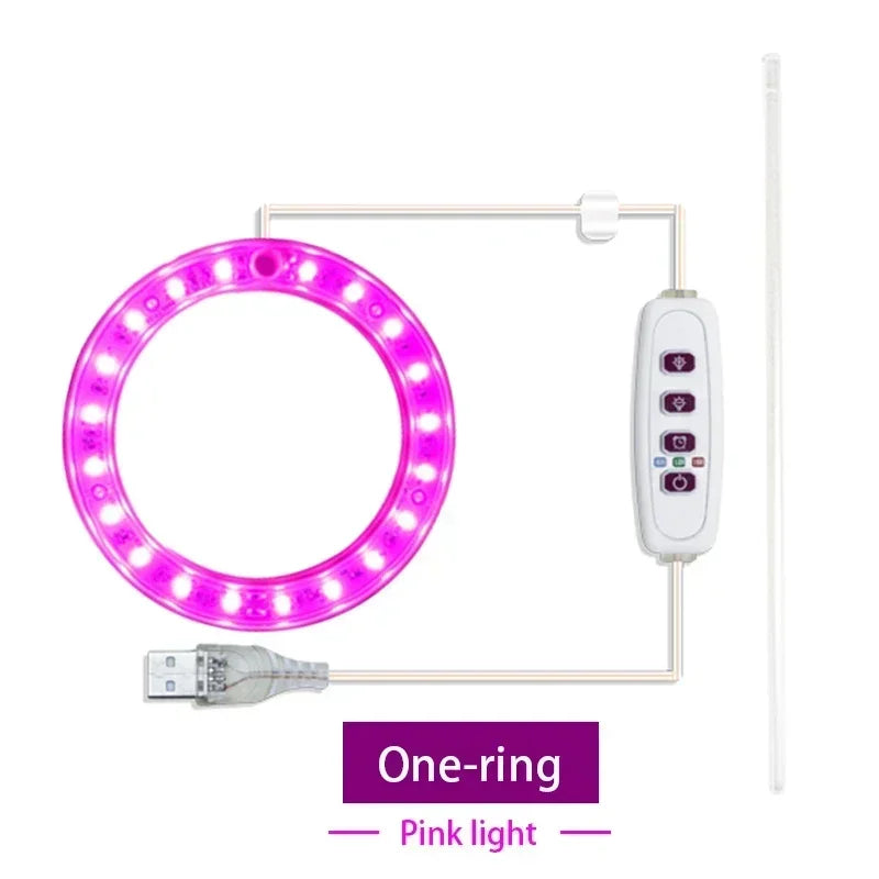 lumière croissance led usb rechargeable rose bleu blanc moderne minimaliste