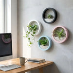pot hydroponique mural moderne blanc noir rose bleu clair fixé mur transparent uni