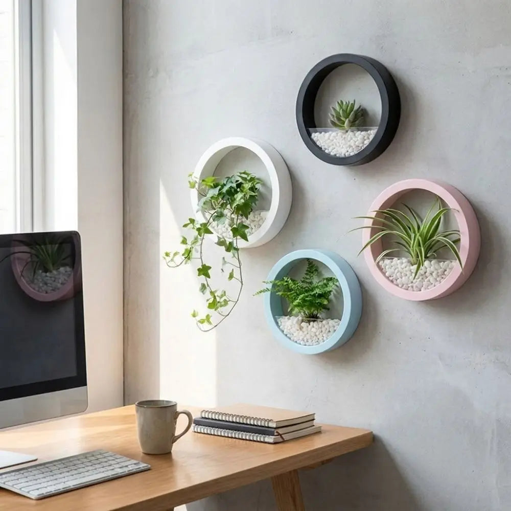 pot hydroponique mural moderne blanc noir rose bleu clair fixé mur transparent uni