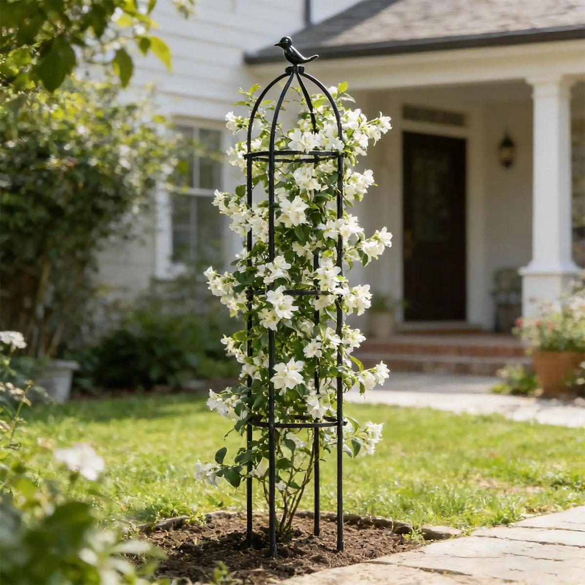 treillis métallique noir plantes grimpantes extérieur intérieur jasmin clematis concombre jardins balcon verte