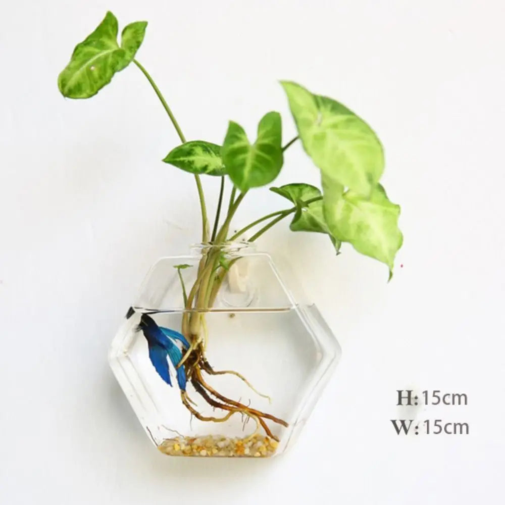 vase transparent moderne verre plante racines intérieur décoration hydroponique fleur