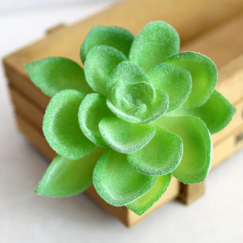 plantes succulentes artificielles cactus agave mini décorations vert blanc moderne minimalisteextérieur exposition