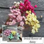 décoration maison fleurs séchées bouquets multiples couleurs rustique bohème table accueil événement