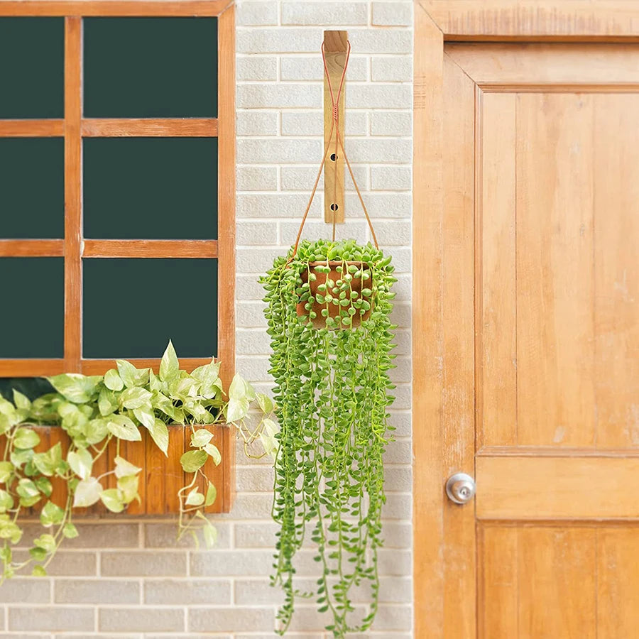 supports murals bois naturel clair plantes suspendues modernes vis fixations balcon maison