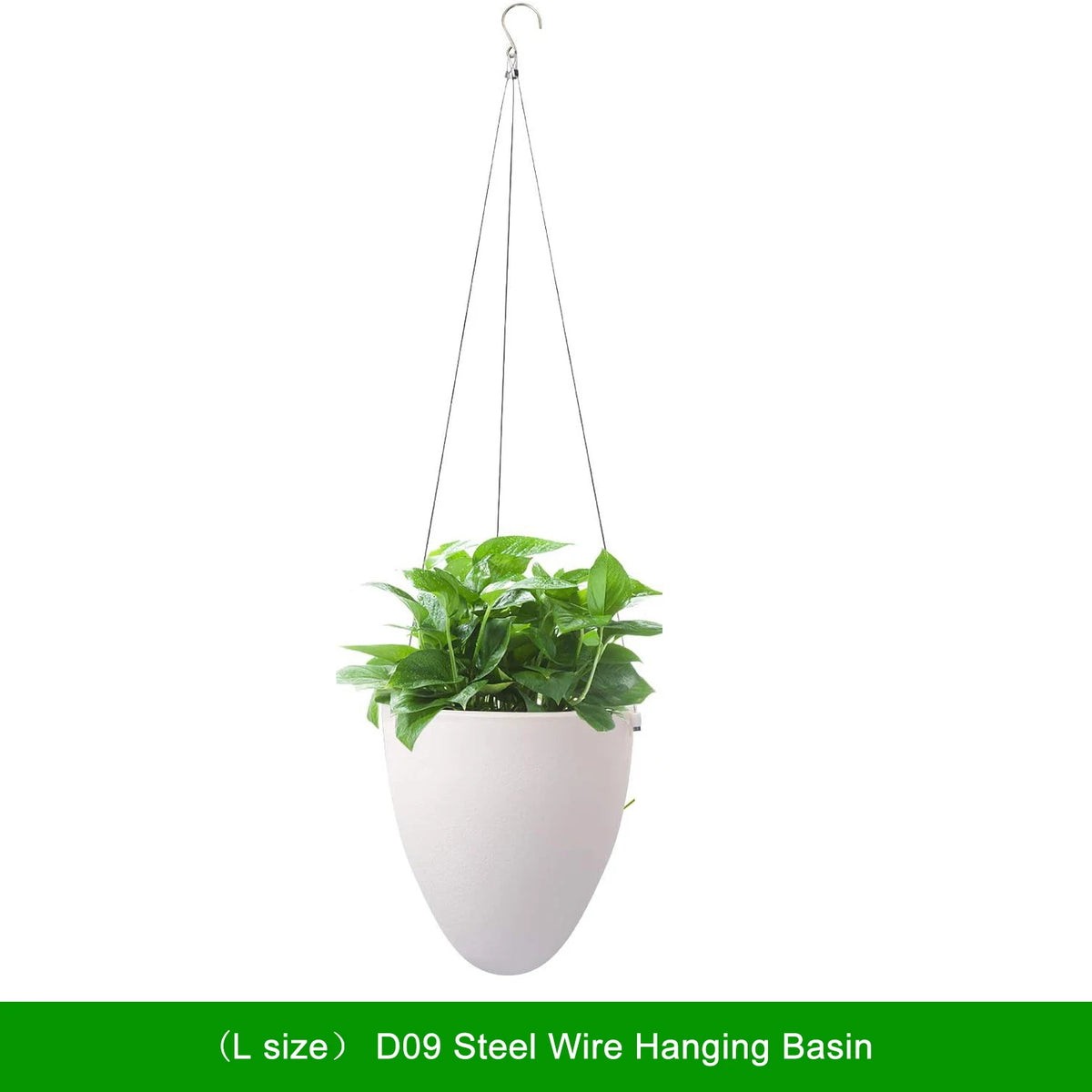 pots suspendus plantes blancs moderne forme œuf lisse acier coton fougères succulentesintérieur jardinVERTES