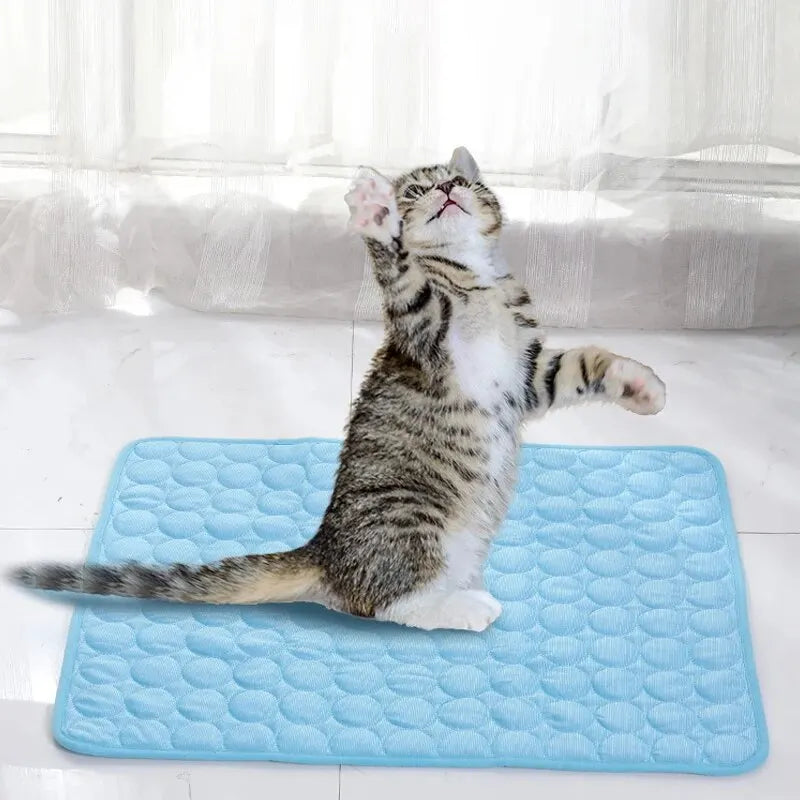 tapis quilted rafraichissant moderne chat bleu clair gris confortable été 40x30cm 50x40cm