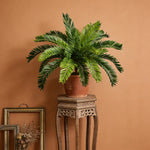 décoration intérieure plante artificielle arbuste feuilles vertes pot imitation végétal tropical maison