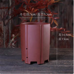 Cache pot céramique moderne rouge beige noir texture granulée fleur plante verteintérieur decoration