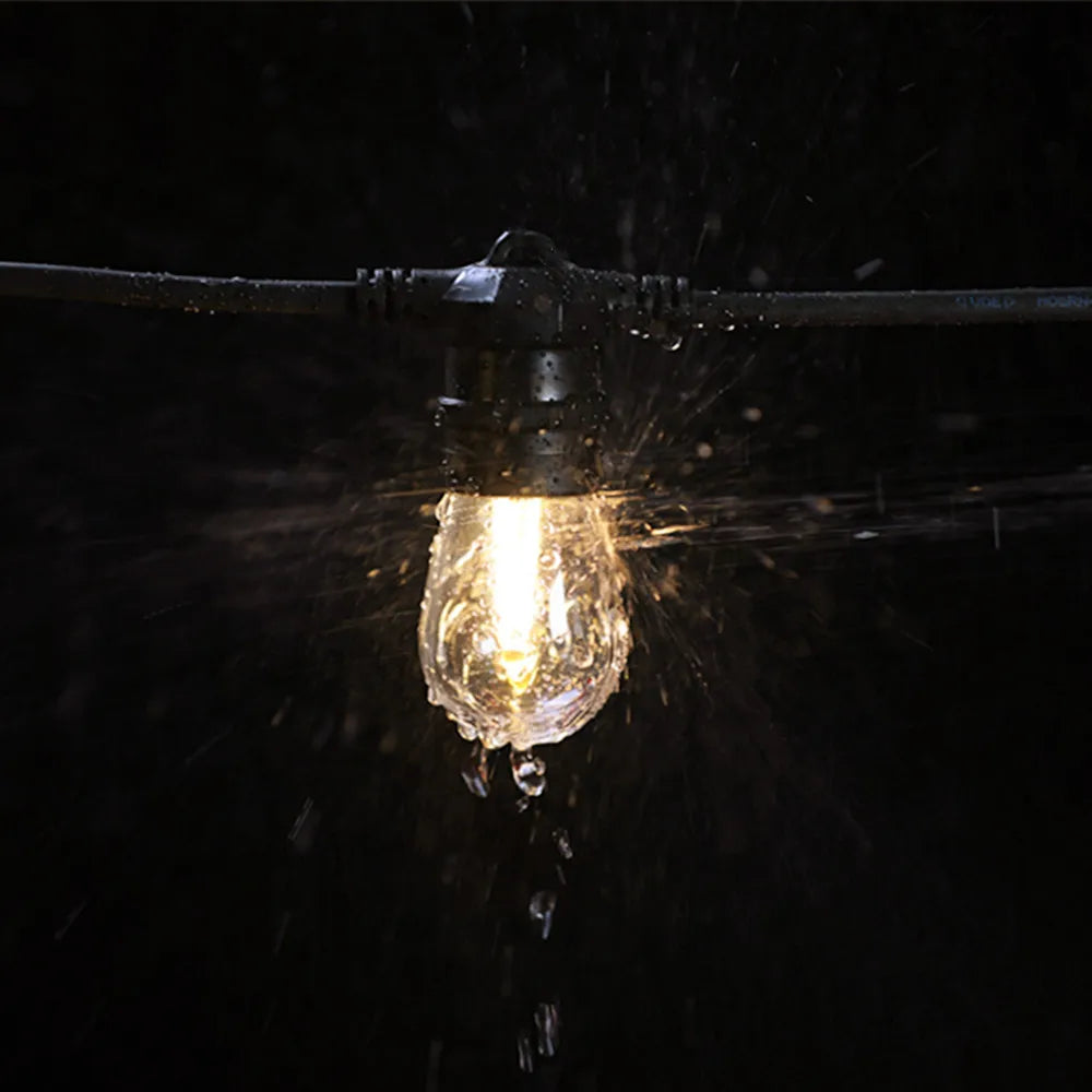 Guirlande lumineuse beige enroulée autour d'un arbre dans un patio
