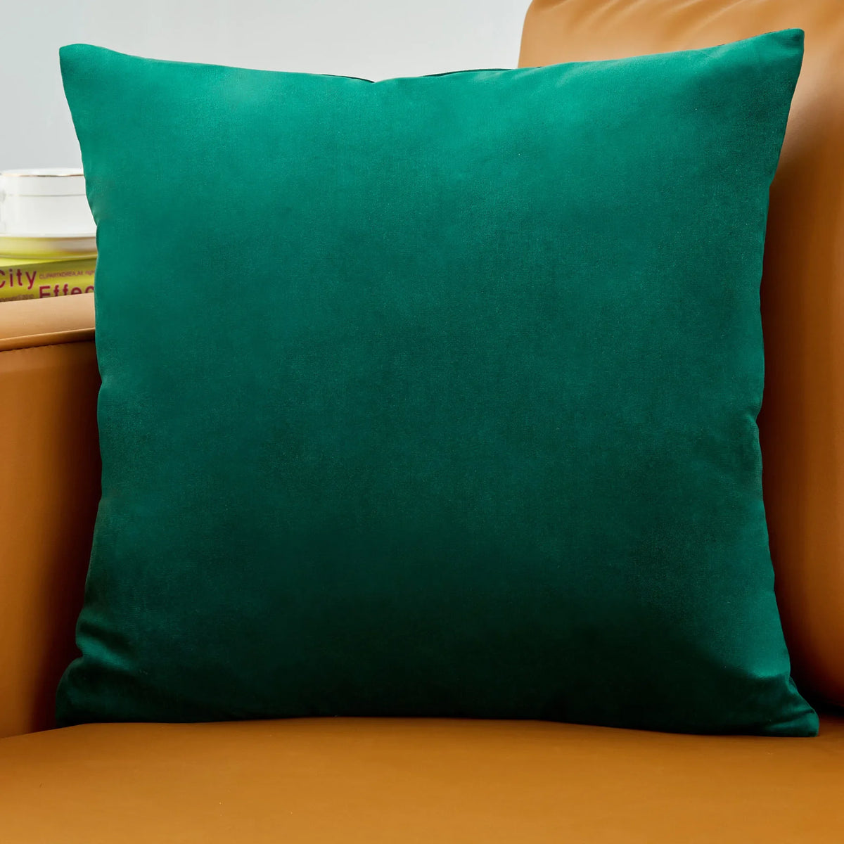 housse coussin carrée velours uni canapé salon décoration maison moderne
