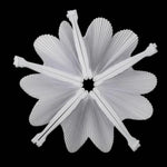 éventails pliants blancs classiques rayures fines tringle diamètre 24cm hauteur 25cm anniversaire mariage decoration