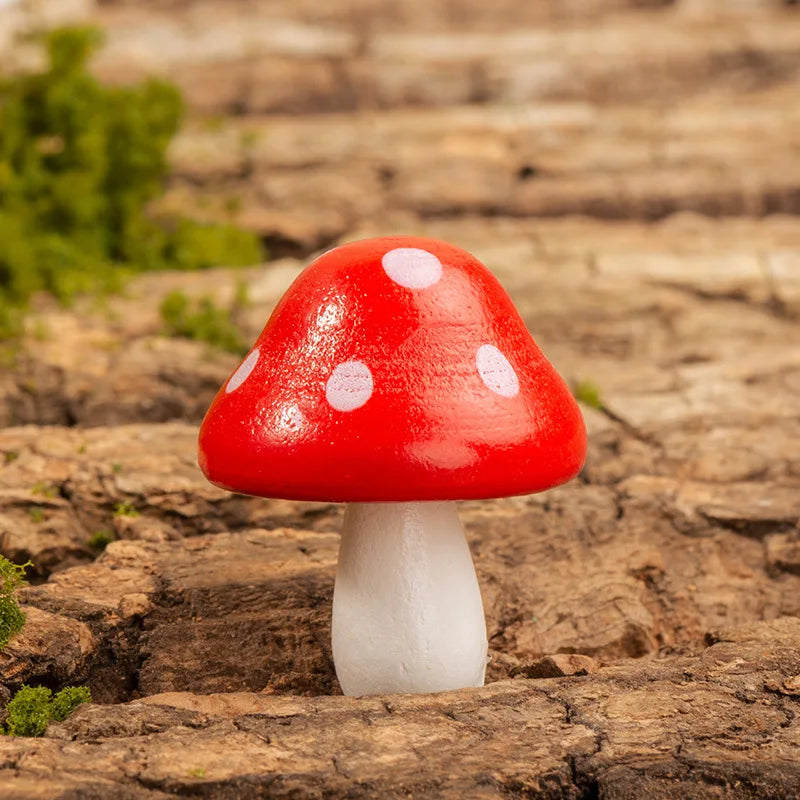 décoration extérieure champignons bois colorés pois blancs jardin enfantin cartoonganımı pastöral opaques