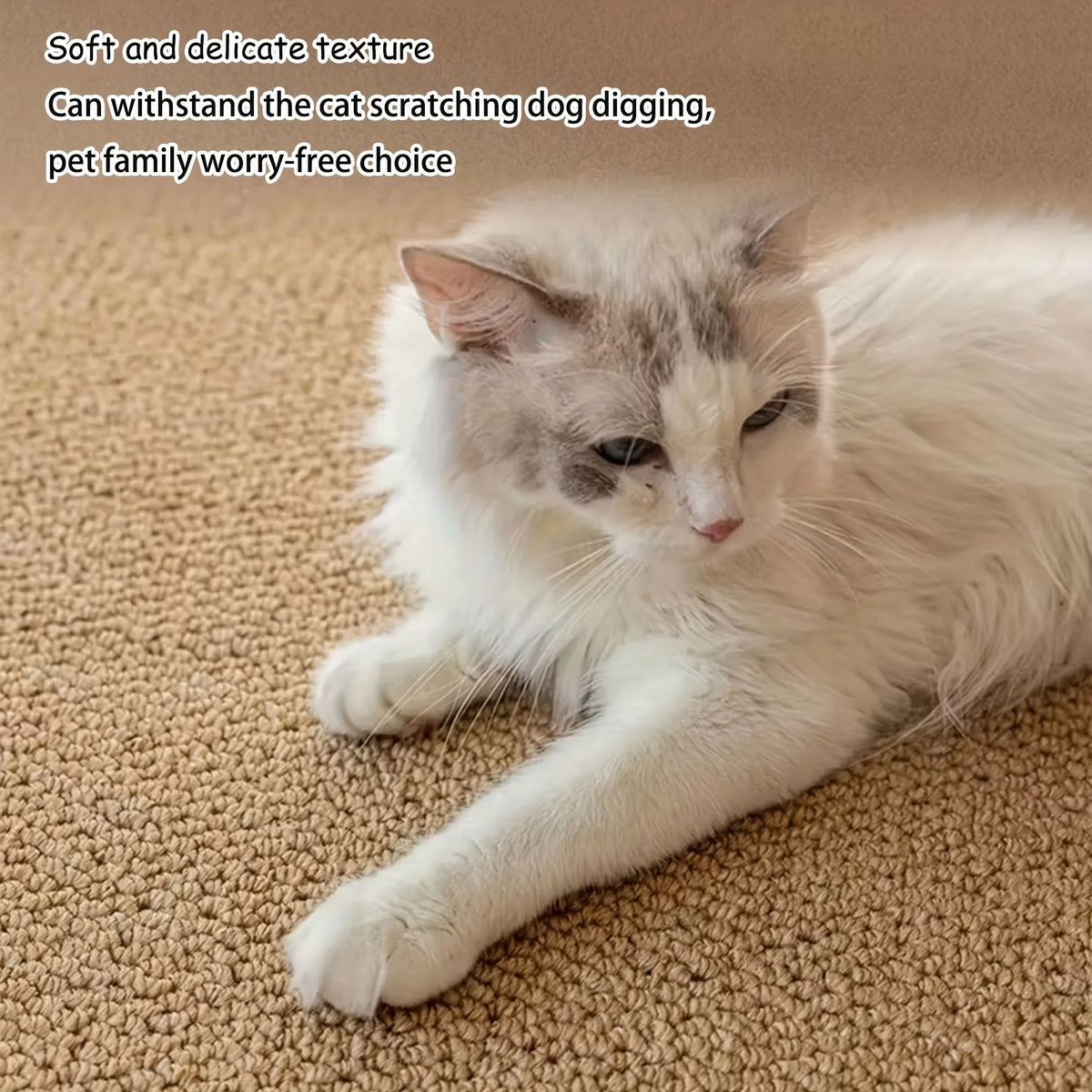tapis grattage chat tissu texture moderne beige clair polyester lavable protection meubles