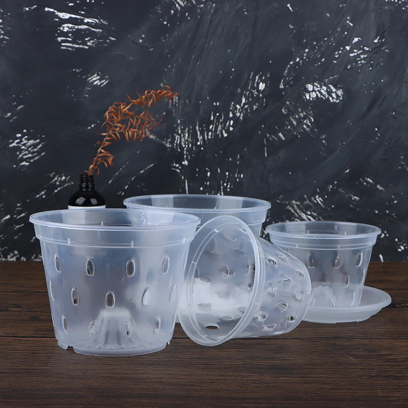 pots semis transparents perforés pratique plateau fleur verte plastique moderne