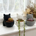 pots fleurs forme chat noir blanc gris succulentes drainage moderne