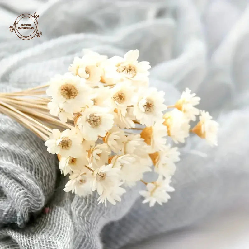 bouquet fleurs séchées blanc naturel ruban jute décoration maison anniversaire baby shower festive rustic