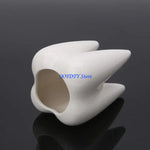 pot plante forme dent blanc lisse brillant décoratif succulente originale verte cactus