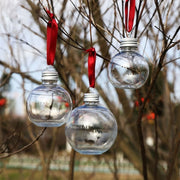 décoration noël boules transparentes rechargeables artisanales rubans rouges vissées suspendues intérieurextérieur