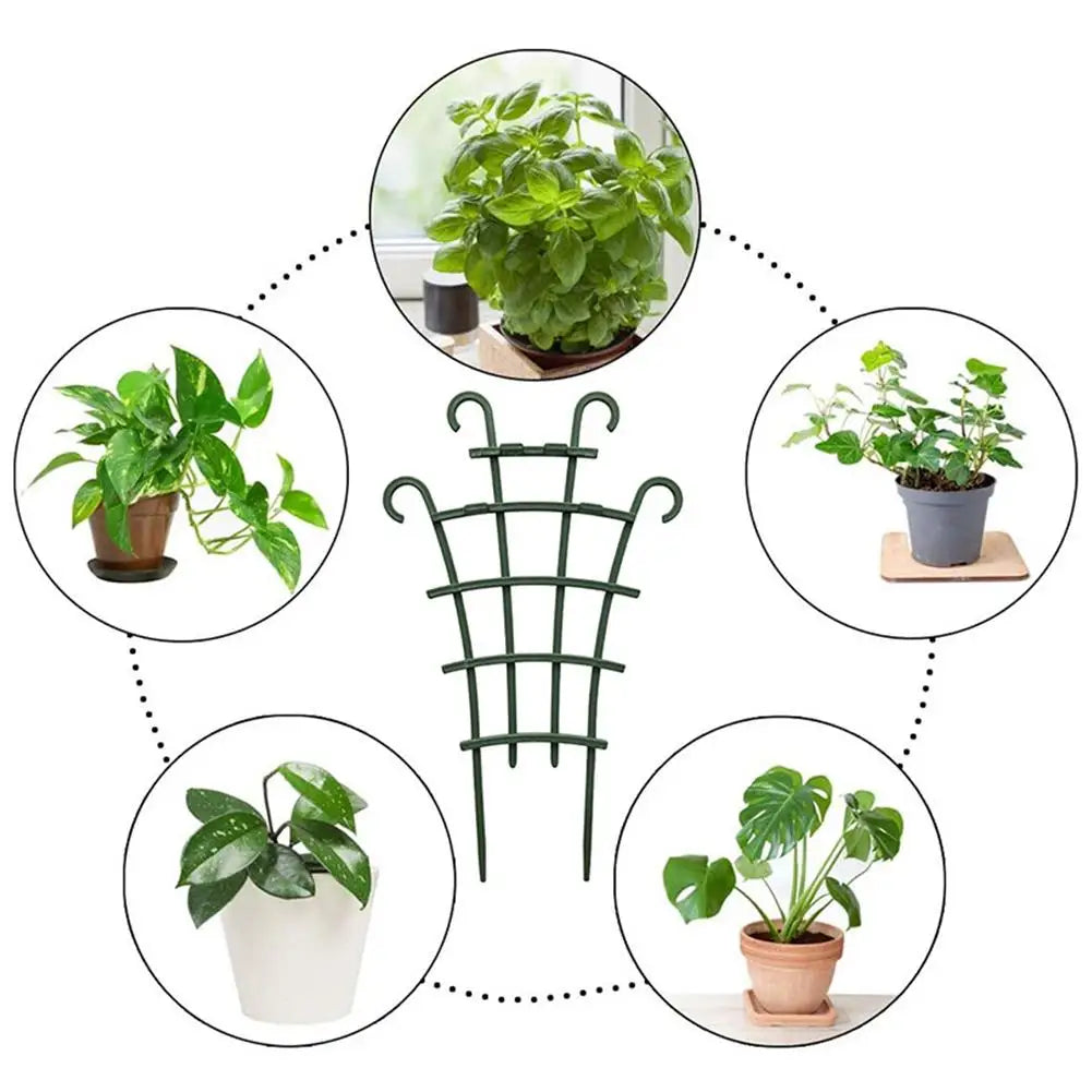 supports plantes grimpantes vert grille moderne adhésif jardin extérieur décoration fixations