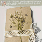fleurs séchées blanches petites tiges fines décoration naturelle artisanale intérieur arrangement floral mariage anniversaire