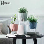 pot plantes moderne transparent adhésif facettes géométriques blanc rose gris