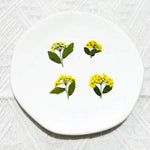 fleurs séchées bouquet blanc vert feuilles naturelles décoration artisanale intérieur anniversaire rustique