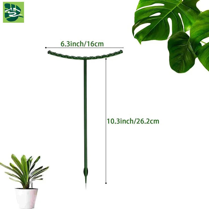 support plante vert foncé structure circulaire moderne insertion trou carré 16cm 26.2cm