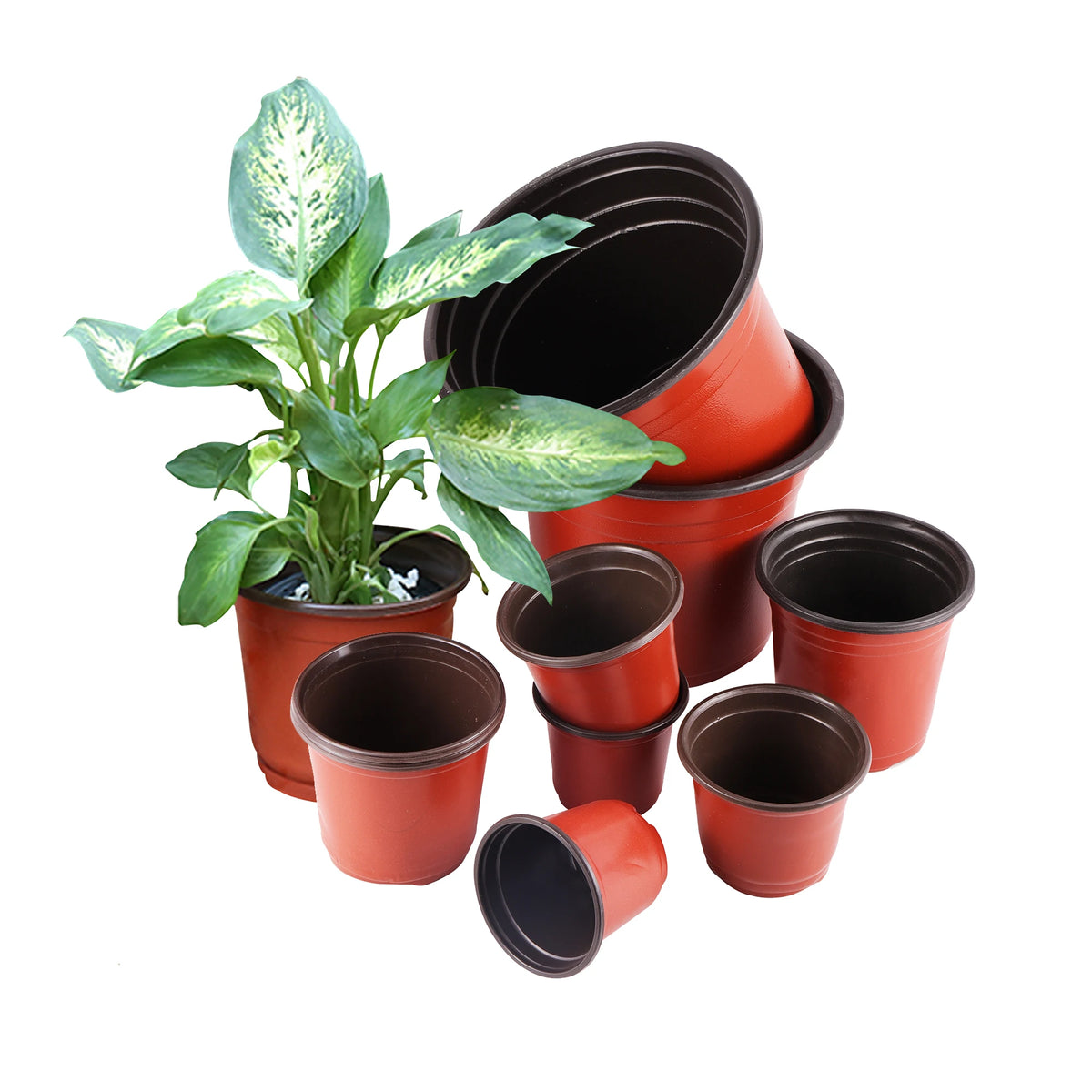 pots plantes modernes plastique rouge noir drainage 9x10cm 22x24cm