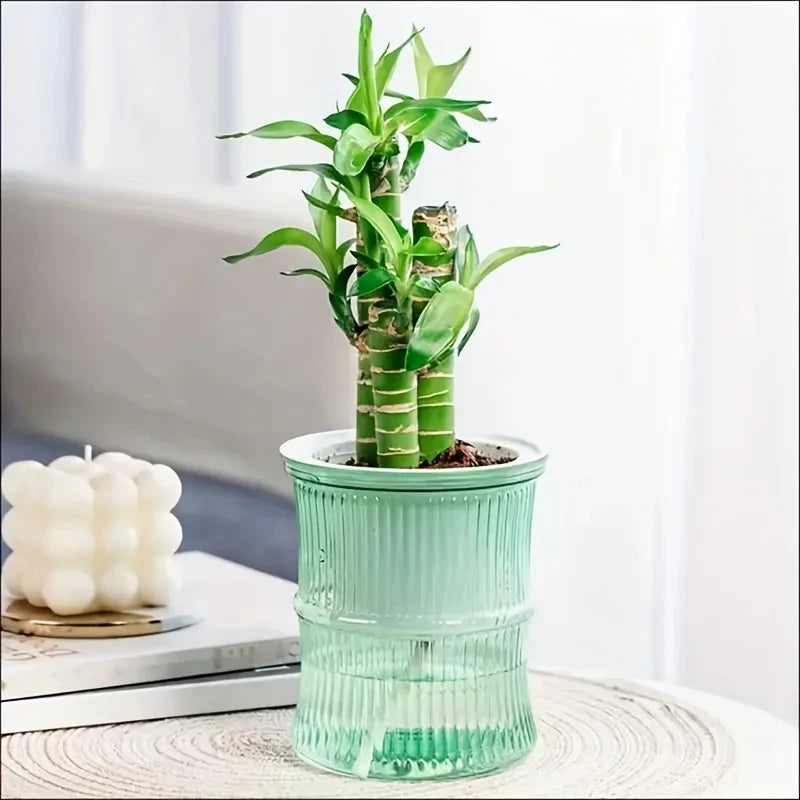 Pot plante moderne rayures verticales plante verte gris bleu rose