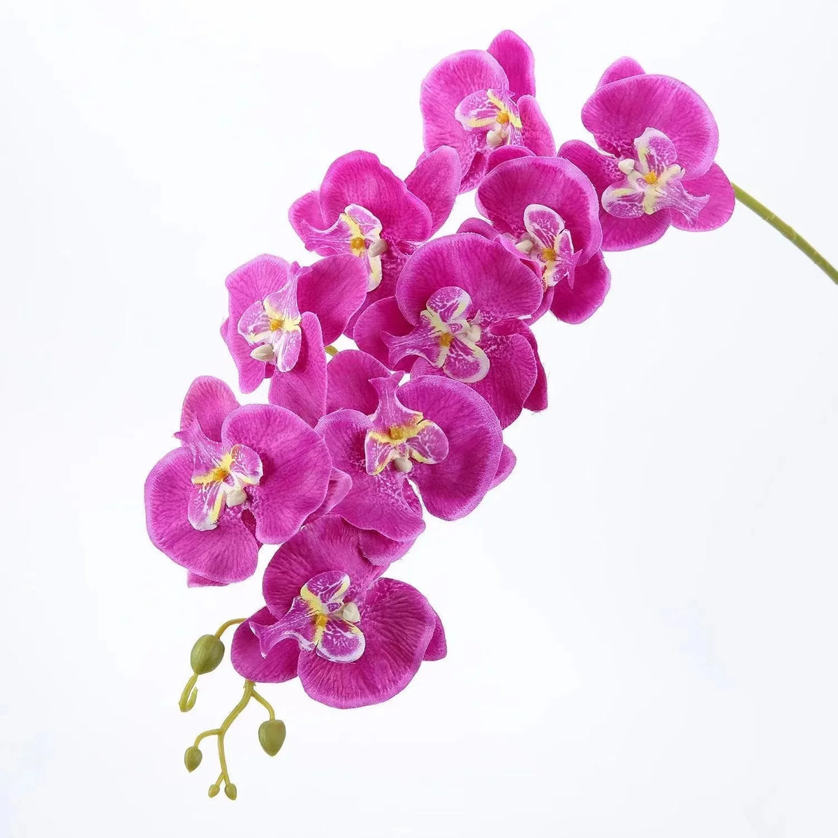 décoration intérieure orchidées artificielles phalaenopsis blanc moderne fête mariage anniversaire baby shower